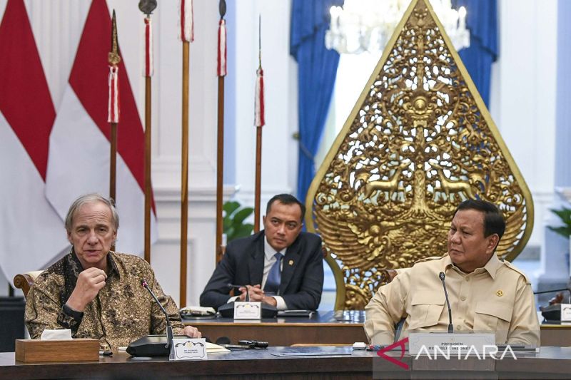 ekonom dewan penasihat danantara berisi profesional berpengalaman