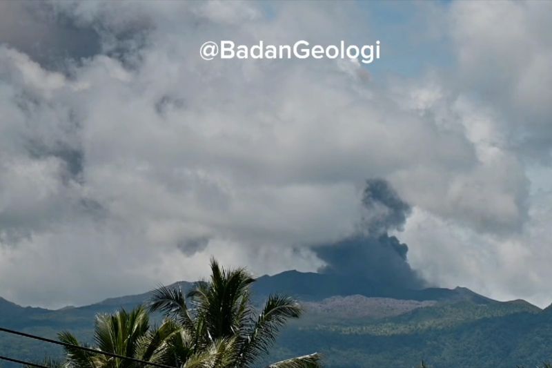 gunung dukono di halmahera utara erupsi bpbd bagikan masker