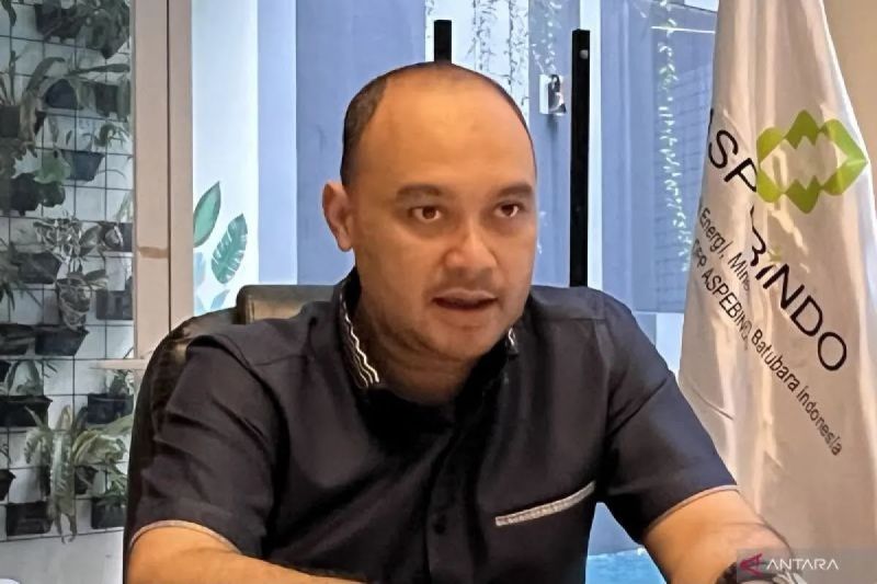 ketum aspebindo hilirisasi baja perkuat kemandirian industri nasional