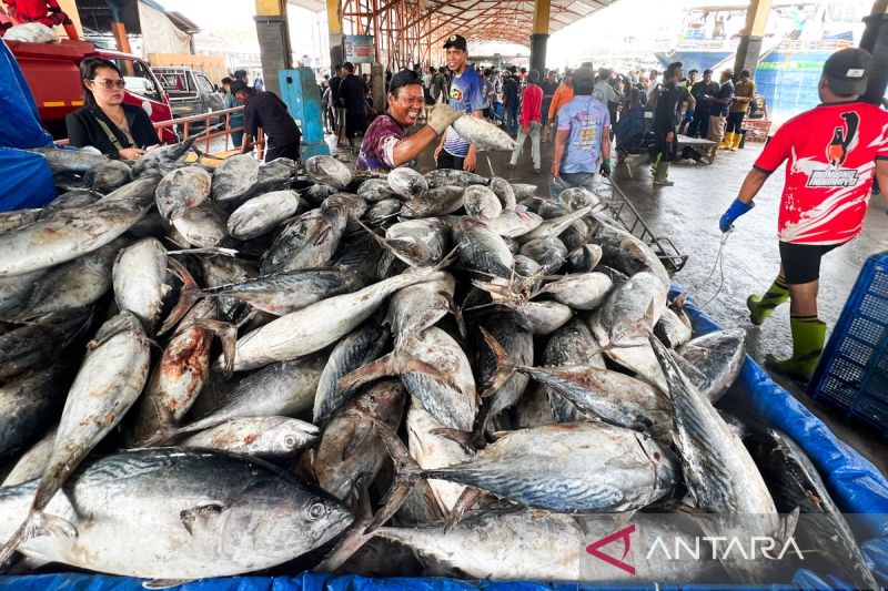 kkp tegaskan penangkapan tuna sirip biru selatan wajib patuhi rfmo