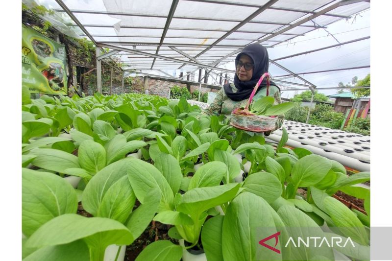 Menilik Kampung Jimpitan wajah nyata kebersamaan dan kemandirian warga 3 menilik kampung jimpitan wajah nyata kebersamaan dan kemandirian warga