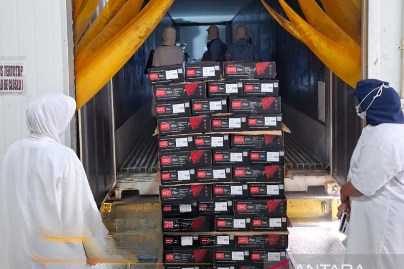 sumbar ekspor perdana tuna beku ke as melalui pelabuhan teluk bayur