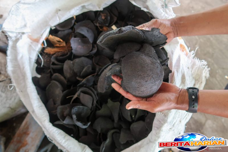 7 manfaat arang aktif bagi kesehatan detok hingga turunkan kolesterol