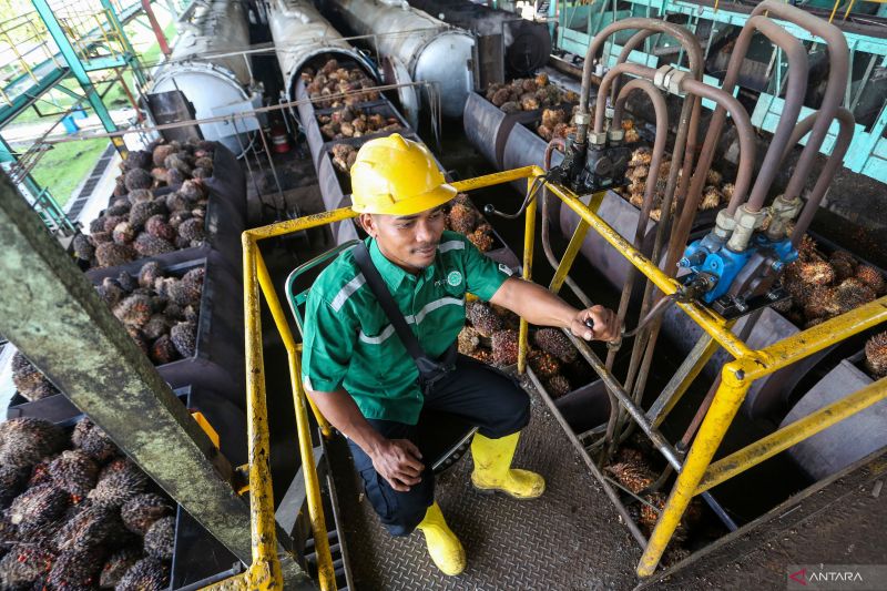 apolin khawatir ekspor oleokimia tertekan kebijakan tarif trump