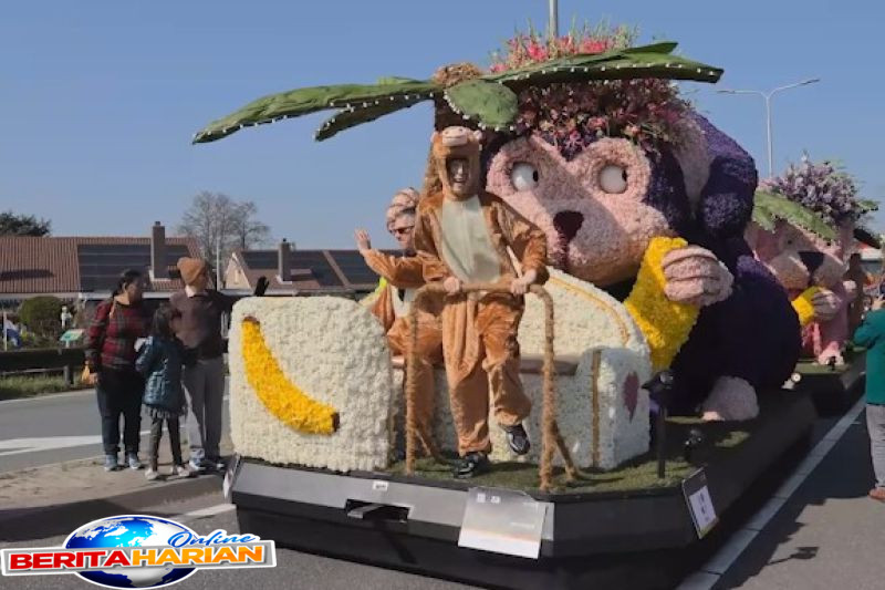 Parade Bunga Tahunan Digelar di Belanda 1 belanda selenggarakan parade bunga tahunan