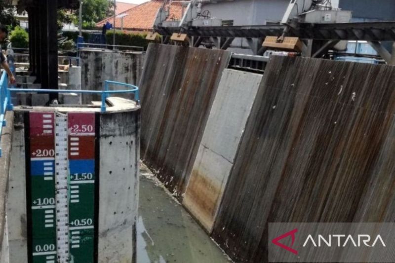 bpbd dki jakarta informasikan status pintu air pasar ikan siaga 2