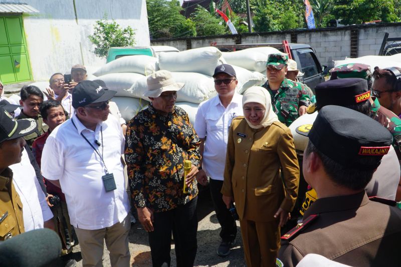bulog pastikan serapan gabah petani optimal sesuai hpp