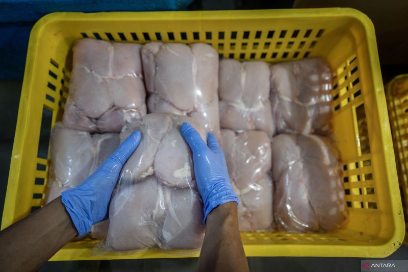 china hentikan impor daging unggas dari perusahaan as
