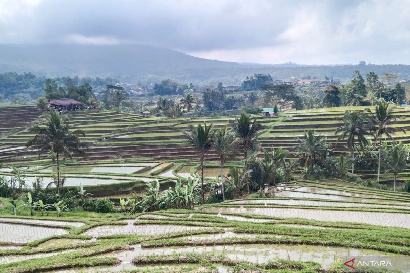 dtw jatiluwih bali sediakan 12 kantong parkir saat libur lebaran