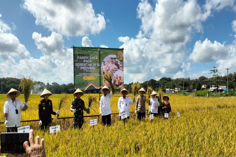 Gubernur DIY minta petani Kulon Progo daftarkan lahan abadi 1 gubernur diy minta petani kulon progo daftarkan lahan abadi