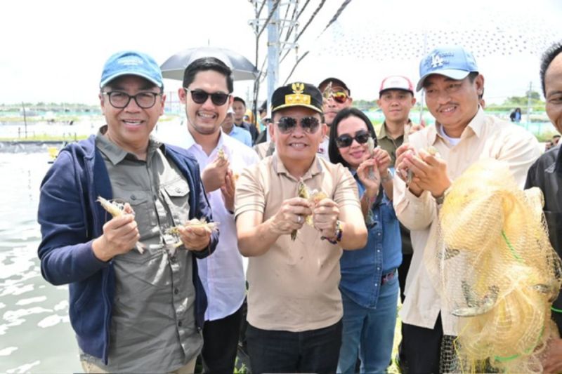 gubernur proyeksikan shrimp estate jadi kawasan ekonomi produktif