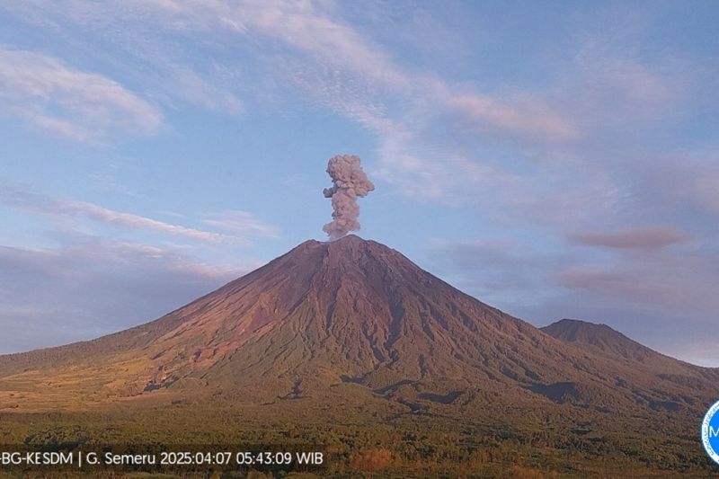 gunung semeru erupsi dengan tinggi letusan 800 meter di atas puncak