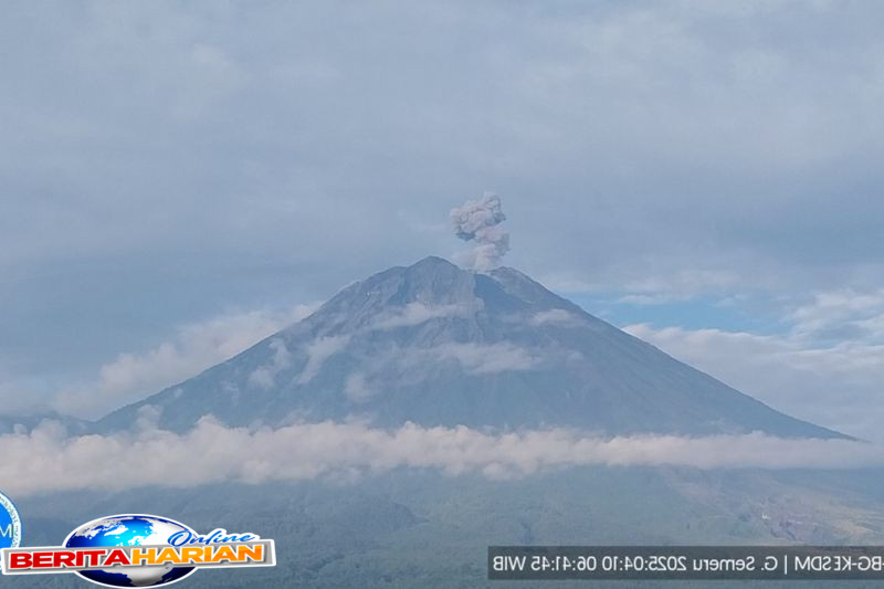 Gunung Semeru Lima Kali Meletus dengan Tinggi Letusan hingga 800 Meter 1 gunung semeru lima kali erupsi dengan tinggi letusan hingga 800 meter