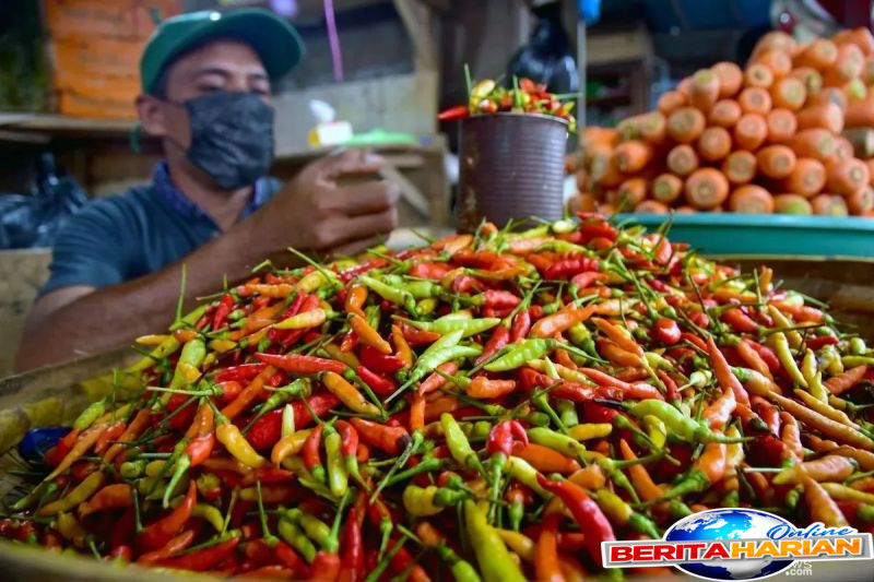 harga pangan cabai rawit merah rp68961kg telur ayam rp30152kg