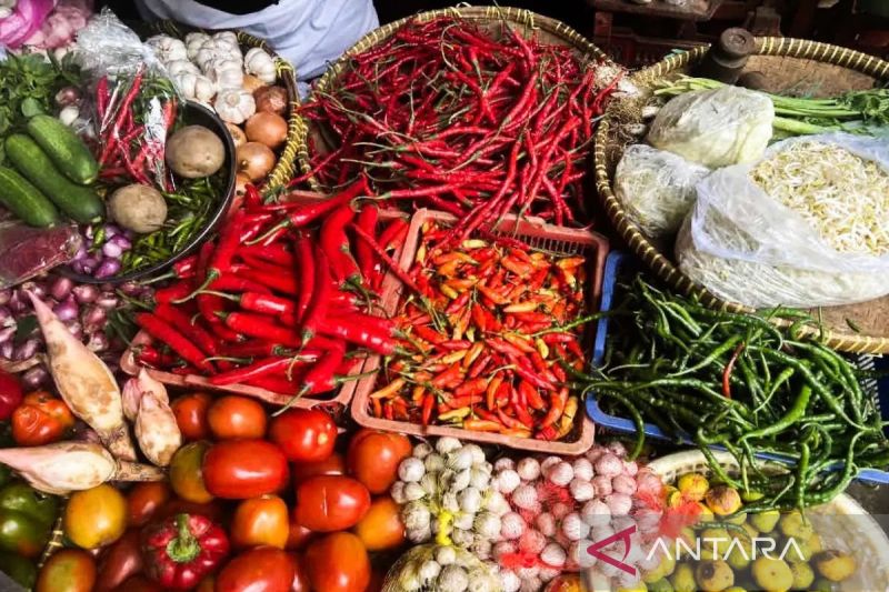 Harga pangan pada Sabtu, cabai rawit merah Rp91.500/kg 1 harga pangan pada sabtu cabai rawit merah rp91500kg