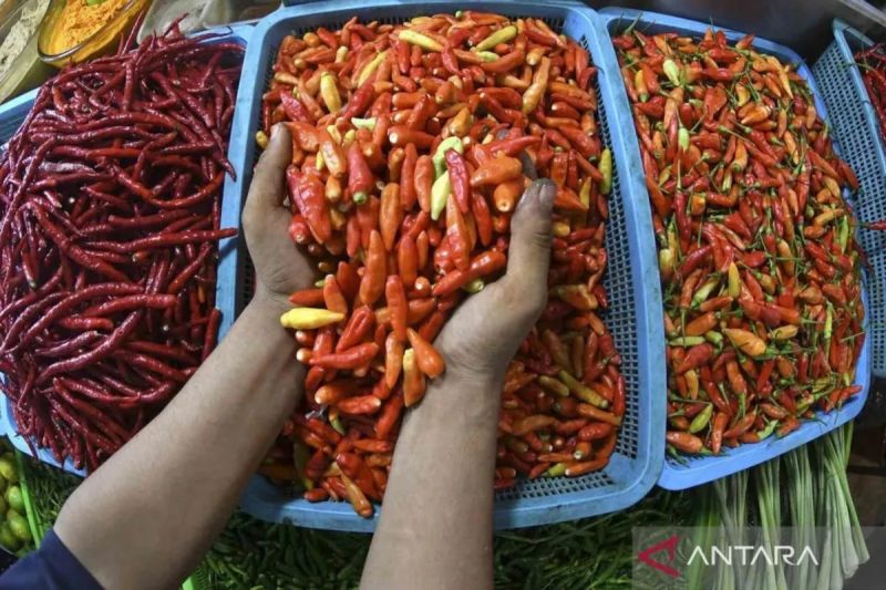 harga pangan senin cabai rawit merah turun jadi rp79756 per kg
