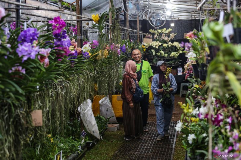 hindari 5 kesalahan ini saat merawat tanaman agar tidak mati
