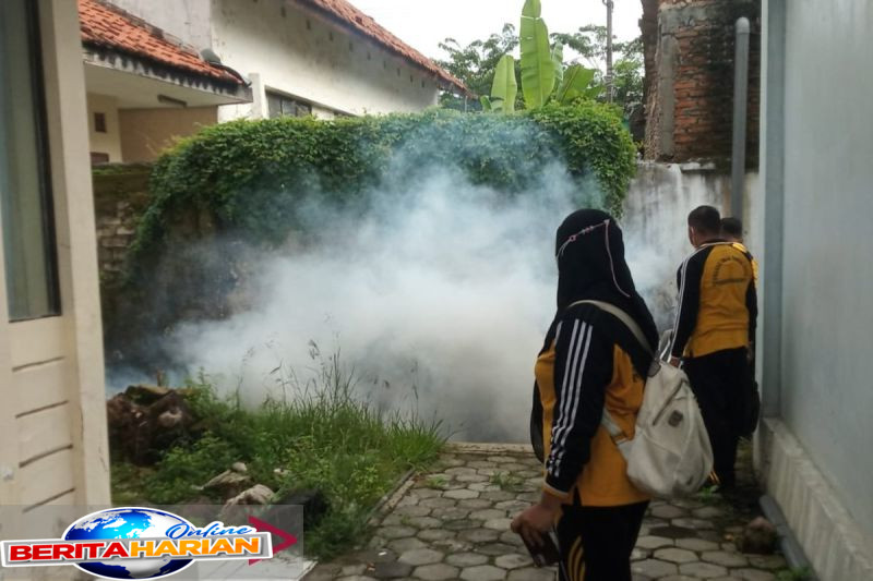 Cara Efektif Mengusir Nyamuk di Rumah Secara Alami 1 ini cara ampuh membasmi nyamuk di rumah secara alami