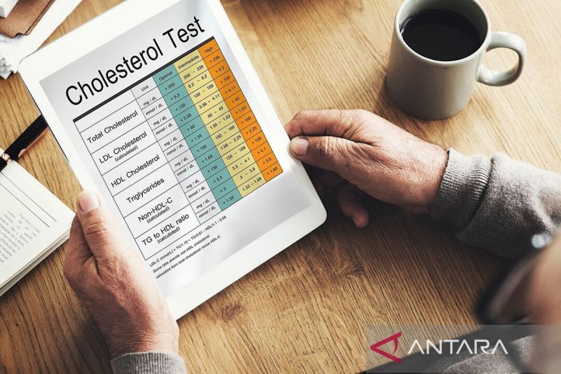 Mengenal Tanda-Tanda Kolesterol Tinggi yang Perlu Diwaspadai 1 kenali beberapa gejala kolesterol tinggi berikut ini