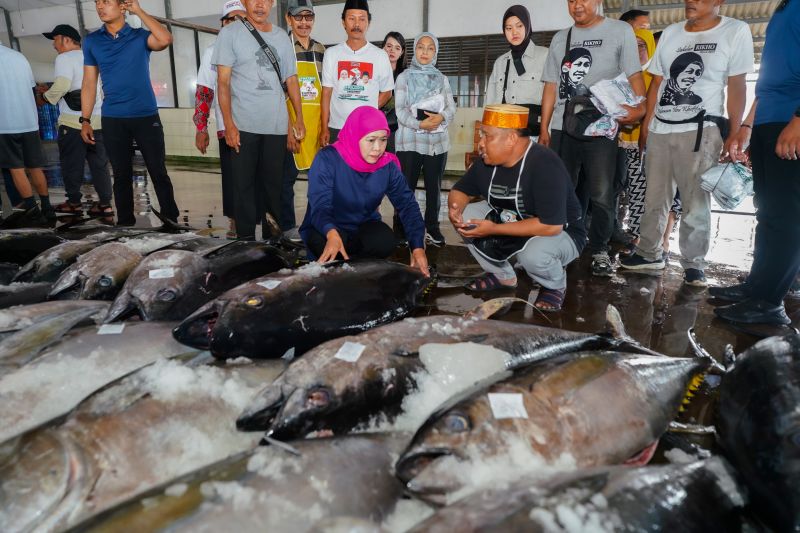 khofifah ajak nelayan jatim terapkan konsep ekonomi biru