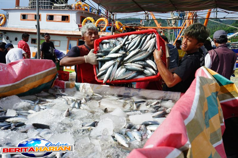 kkp perkuat sulawesi utara sebagai pusat hilirisasi perikanan