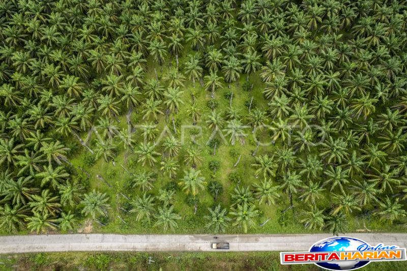 laba bersih staa tumbuh 573 persen di kuartal i 2025