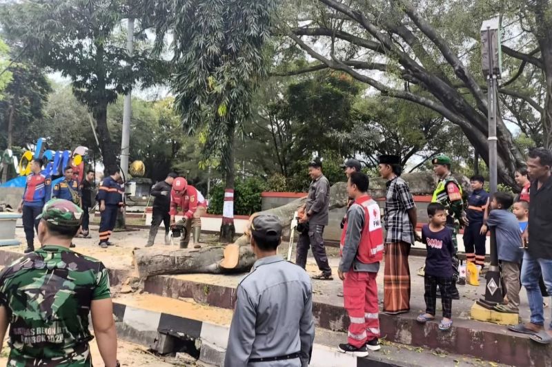 mensos data ahli waris korban pohon tumbang saat shalat id di pemalang 1