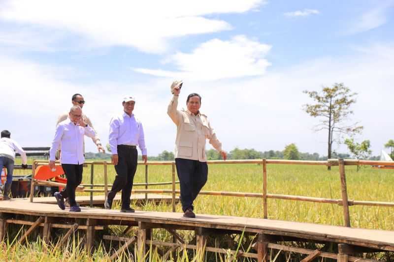 mentan hpp gabah rp6500kg keberpihakan presiden ke petani