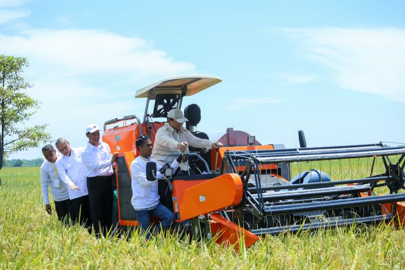 mentan revolusi akses pupuk tingkatkan produktivitas padi nasional