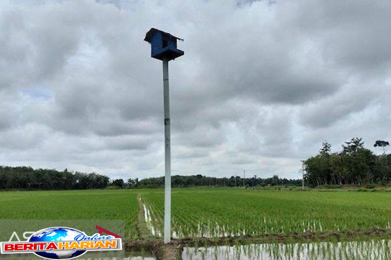 menteri pu pemberian burung hantu dari presiden dukung teknologi ipha