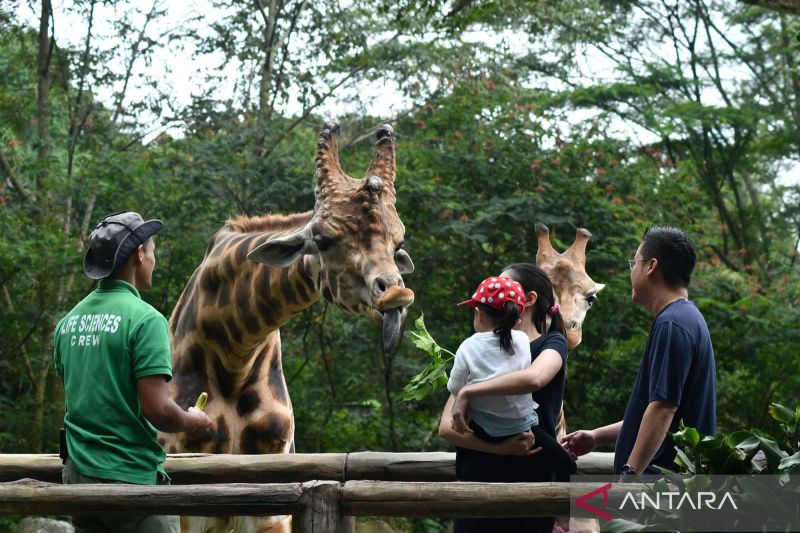 objek wisata satwa ramai pengunjung saat libur lebaran
