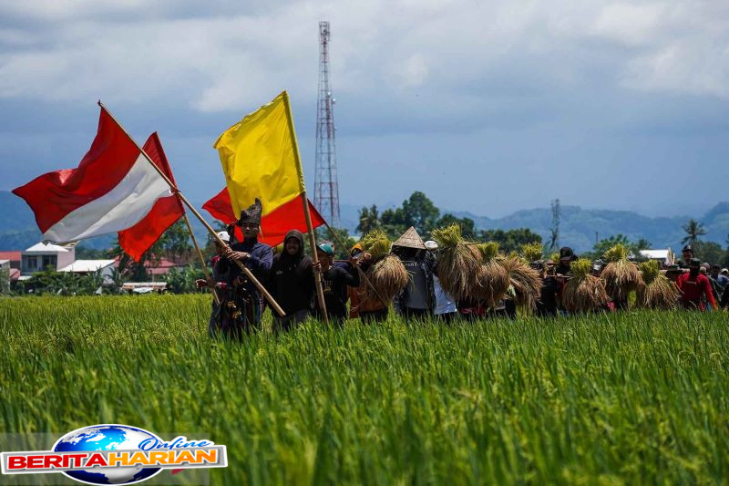 panen raya katto bokko merupakan warisan budaya kerajaan adat di maros