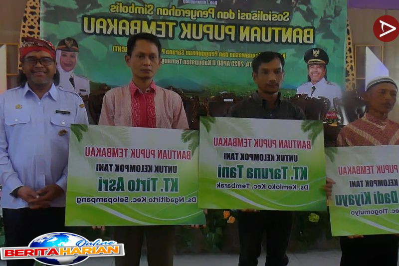 pemkab temanggung salurkan bantuan pupuk bagi petani tembakau