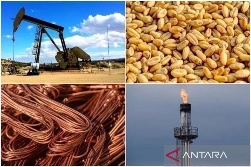 pengamat nilai kebijakan tarif as berpotensi lemahkan industri ti