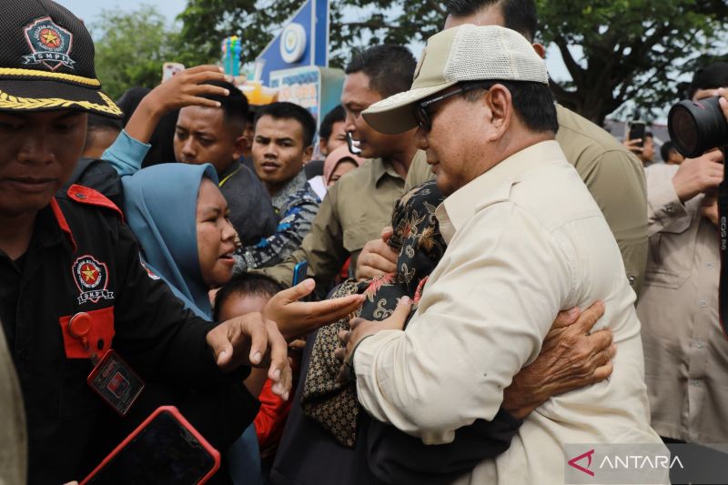 presiden prabowo strategist in chief indonesia
