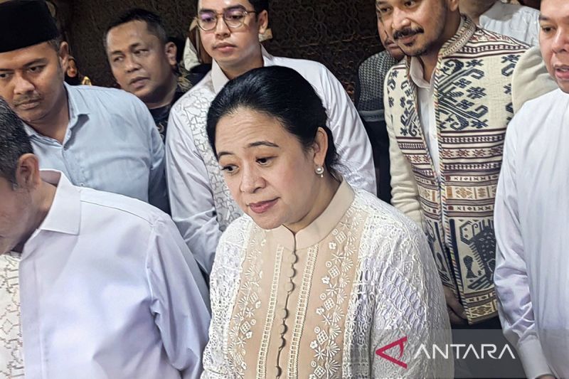 puan sebut megawati titip pesan ke prabowo lewat didit
