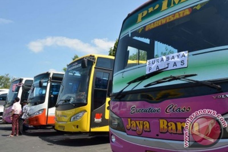 puluhan unit amari disiagakan di terminal kalideres angkut penumpang