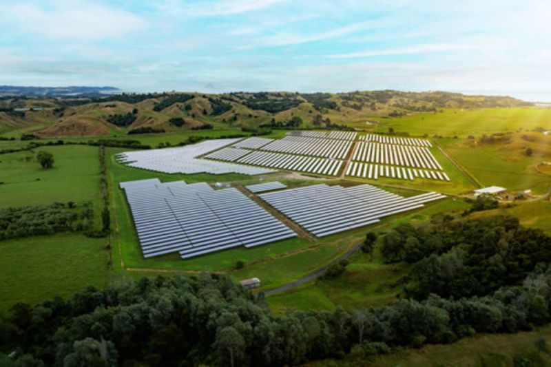 trinasolar dan lodestone kembangkan proyek pembangkit tenaga surya terbaru dengan konsep agrivoltaic di selandia baru