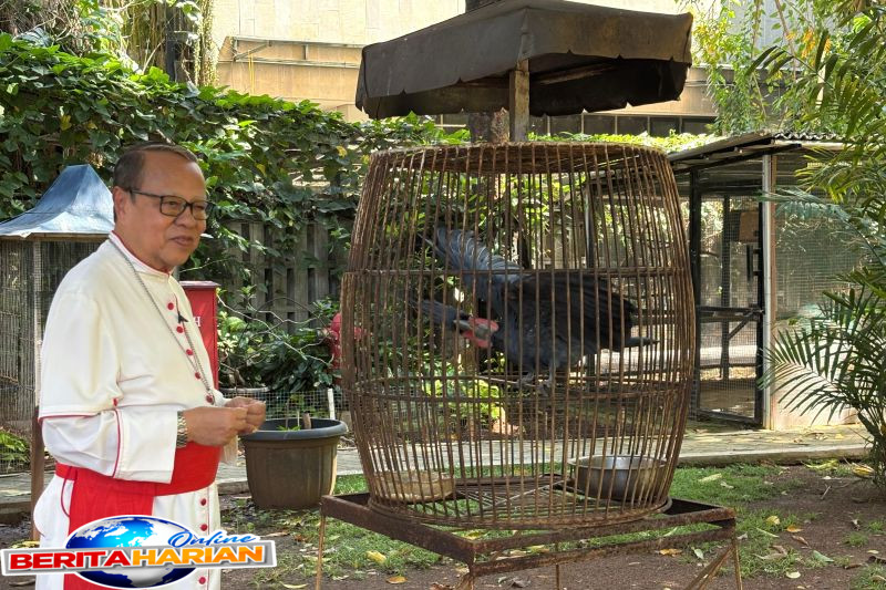 uskup agung jakarta sebut alasan kunjungi hasto ikuti paus fransiskus