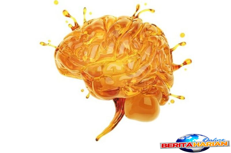 alamar biosciences memperluas nulisaseq cns disease panel 120 dengan terobosan uji ptau yang berasal dari otak dan berbasis darah