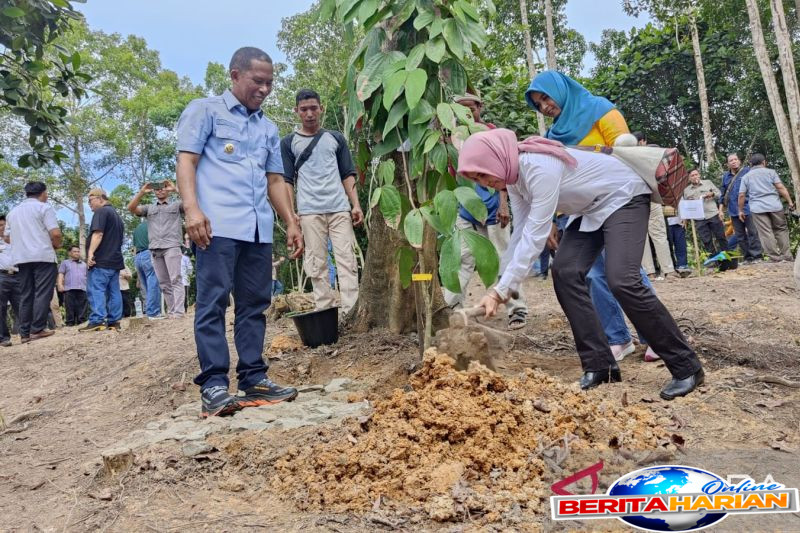 brin dan pemkab bulungan perkuat kolaborasi wujudkan pusat konservasi flora