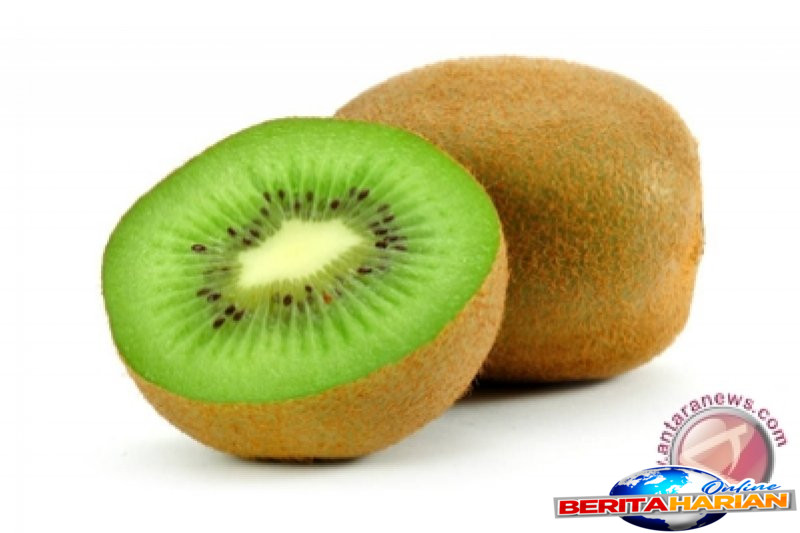 Kiwi: Sumber Nutrisi Lengkap untuk Pencernaan dan Kulit Sehat 1 buah kiwi nutrisi lengkap untuk jaga kesehatan pencernakan dan kulit