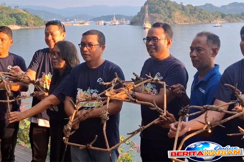 dukung ekosistem bawah laut asdp tanam terumbu karang di labuan bajo