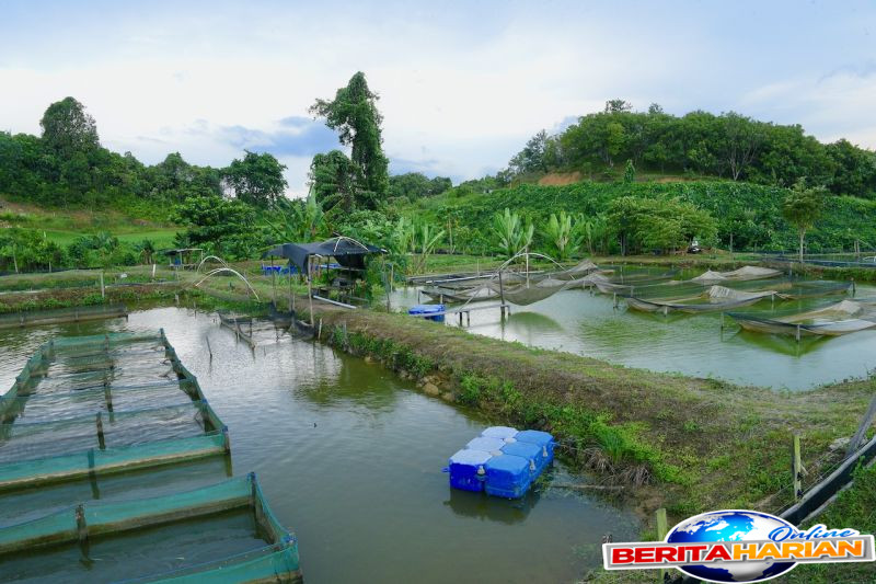 komisi xii dpr restorasi ekologis pascatambang harus diprioritaskan