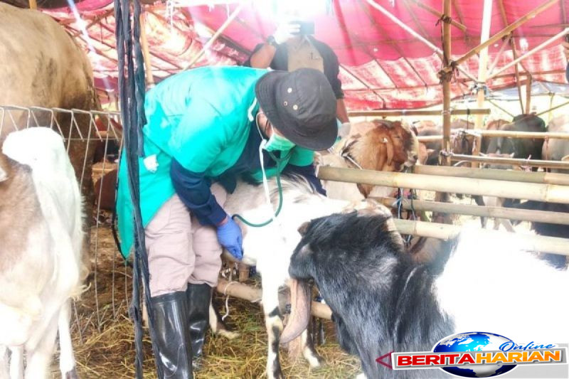 panitia diingatkan komunikasi dengan pengurban saat distribusi daging