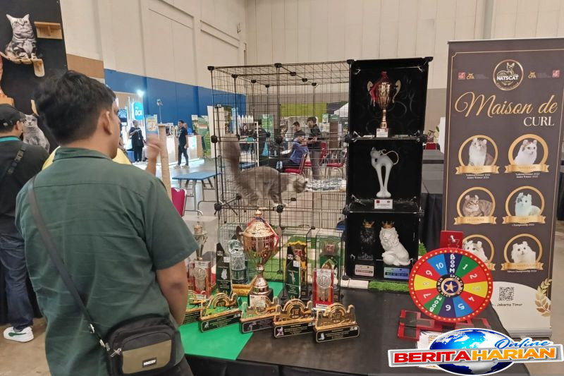 pengunjung padati petfest 2025 di bsd