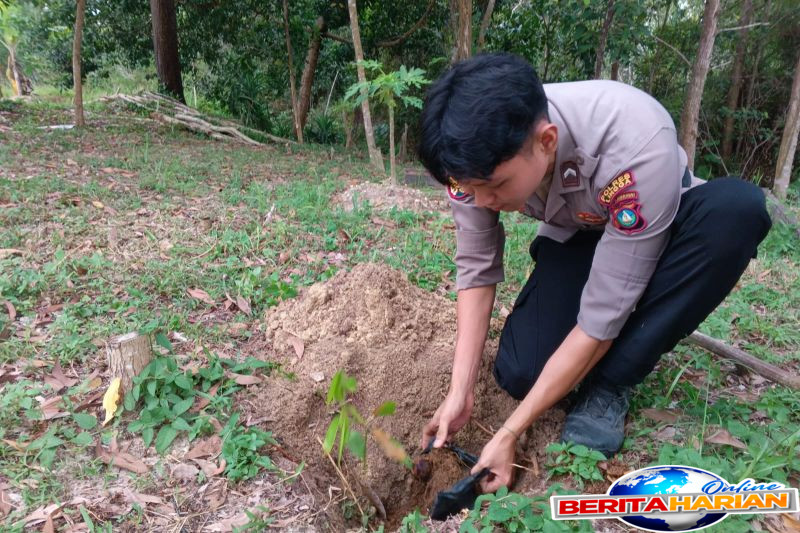 polres lingga lestarikan lingkungan tanam 250 pohon jengkol