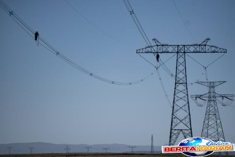 sarang burung artifisial dipasang untuk tingkatkan konservasi di china