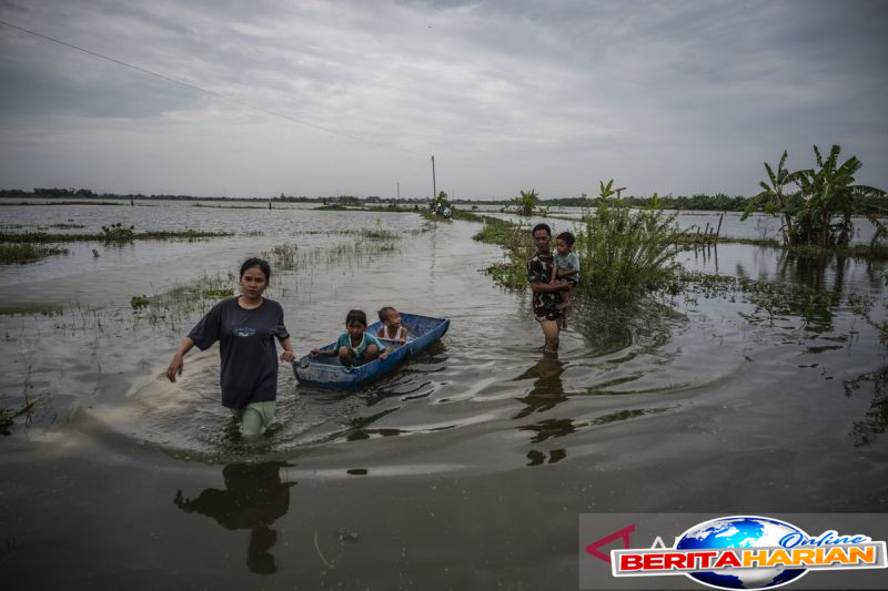 tanggul sungai tuntang jebol 11 desa di demak terendam banjir