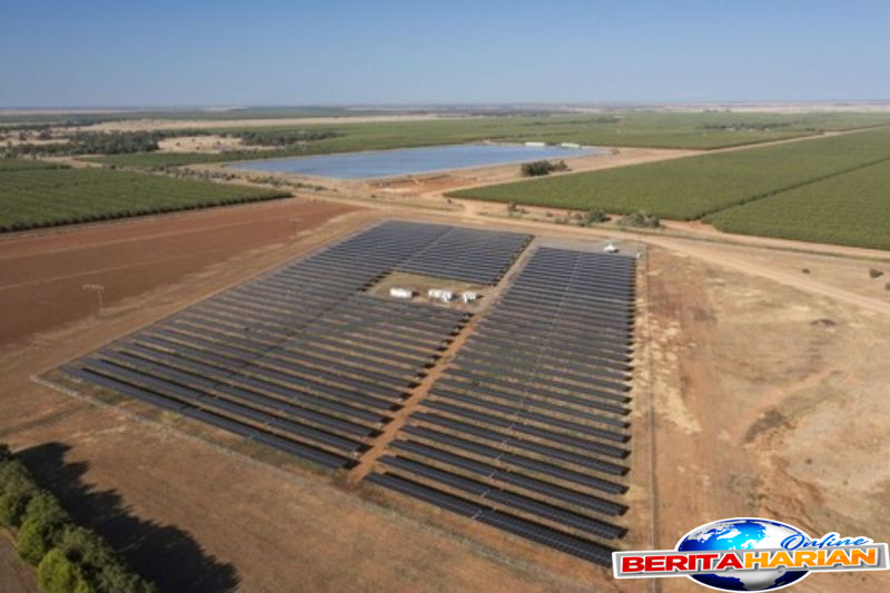 trinasolar dukung proyek plts agrobisnis 6 mw di australia